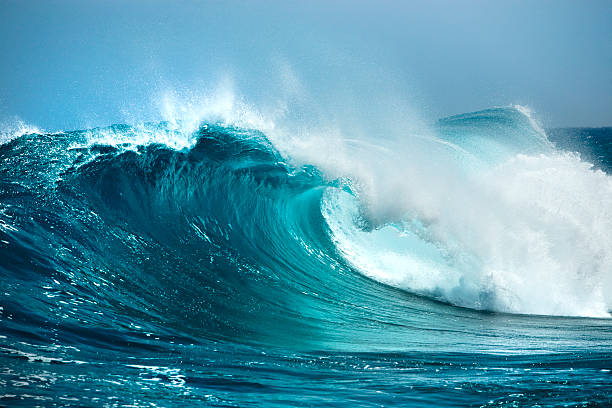Ocean Wave